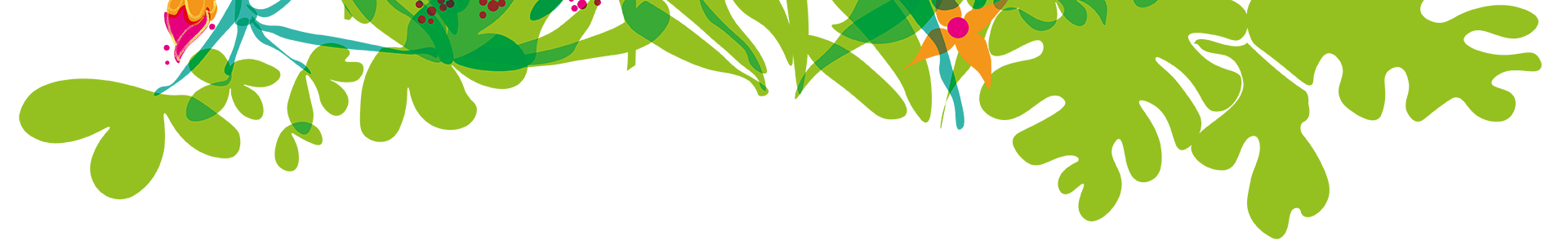 Floresta - Separador